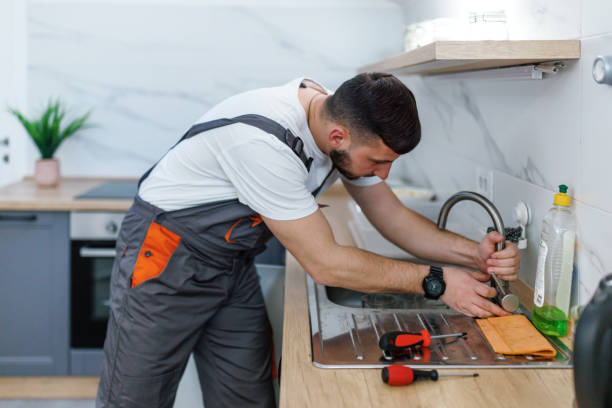Best Local Plumber Services  in Leona Valley, CA